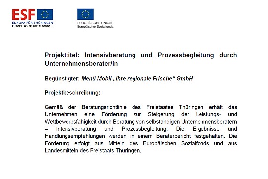 Projekttitel: Intensivberatung und Prozessbegleitung durch Unternehmensberater/in
