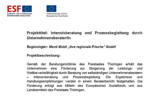 Intensivberatung und Prozessbegleitung durch Unternehmensberater/in